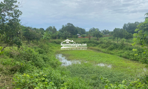 Bán đất vườn trái cây Đồng Nai, có ao suối đẹp, chính chủ bán